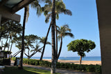 <!-- 240323 --!> March 23 to March 30 2024 <br> Two Bedroom <br> OCEAN FRONT VILLA 7208 <br> Marriott's Maui Ocean Club - Lahaina Villas <br> MAUI <br>