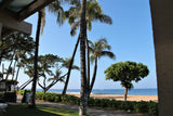 <!-- 240518 --> May 18 to May 25 2024<br>Two Bedroom<br>OCEAN VIEW<br>Marriott Lahaina &amp; Napili<br>MAUI<br>