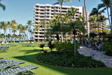 <!-- 250118 --> January 18 to January 25 2025<br>Two Bedroom<br>OCEAN VIEW<br>Marriott Maui Ocean Club - Lahaina &amp; Napili<br>MAUI<br>