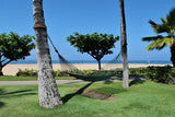 <!-- 240518 --> May 18 to May 25 2024<br>Two Bedroom<br>OCEAN VIEW<br>Marriott Lahaina &amp; Napili<br>MAUI<br>