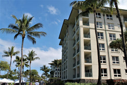 <!-- 240620 --> June 20 to June 23 2024<br>Studio<br>VARIES<br>Westin South<br>MAUI<br>