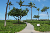 <!-- 250125 --!> January 25 to Febuary 1 2025 <br> Studio <br> OCEAN FRONT <br> Westin South Buildings <br> MAUI <br>