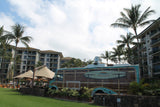 <!-- 240106 --!> January 6 to January 13 2024 <br> One Bedroom <br> OCEAN VIEW <br> Westin South Buildings <br> MAUI <br>