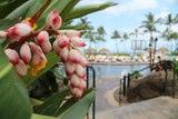 <!-- 241228  --> December 28 to January 4 2025<br>Two Bedroom<br>OCEAN VIEW<br>Westin South<br>MAUI<br>