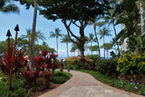 <!-- 250215 --!> February 15 to February 22 2025 <br> Two Bedroom <br> OCEAN VIEW <br> Westin South Buildings <br> MAUI <br>