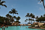 <!-- 240423  --> April 23 to April 27 2024<br>One Bedroom<br>OCEANVIEW<br>Westin South<br>MAUI <br>