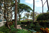 <!-- 240719  --> July 19 to July 26 2024<br>Studio<br>FLOATING<br>Westin South<br>MAUI<br>