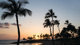 <!-- 241102  --> November 2 to November 9 2024<br>Studio<br>OCEAN VIEW<br>Marriott KoOlina<br>OAHU<br>