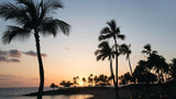 <!-- 241031 --> October 31 to November 7 2024<br>Two Bedroom<br>OCEAN VIEW<br>Marriott KoOlina<br>OAHU<br>