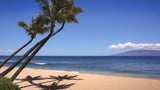 <!-- 250131  --> January 31 to February 7 2025<br>Two Bedroom<br>GARDEN VIEW<br>Marriott Maui Ocean Club<br>MAUI<br>