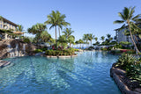 <!-- 250107 --> January 7 to January 14 2025<br>Studio<br>OCEAN VIEW<br>Westin South<br>MAUI<br>