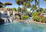 <!-- 240423  --> April 23 to April 27 2024<br>One Bedroom<br>OCEANVIEW<br>Westin South<br>MAUI <br>