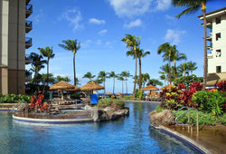 <!-- 250718 --> July 18 to July 25 2025<br>Studio<br>ISLAND VIEW<br>Westin North<br>MAUI<br>