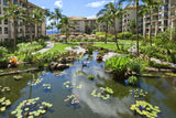 <!-- 250104  --> January 4 to January 8 2025<br>Studio<br>OCEAN VIEW<br>Westin North<br>MAUI<br>