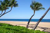 <!-- 240720 --> July 20 to July 27 2024<br>One Bedroom<br>OCEAN FRONT<br>Marriott Maui Ocean Club<br>MAUI<br>