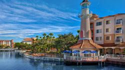 <!-- 250213 --> February 13 to February 20 2025<br>One Bedroom<br>VIEW VARIES<br>Marriott Grande Vista<br>FLORIDA<br>