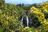 <!-- 240824 --> August 24 to August 31 2024<br>Studio<br>FLOATING VIEW<br>Westin Princeville<br>KAUAI<br>