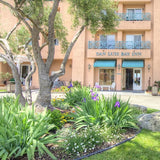 <!-- 241011 --> October 11 to October 18 2024<br>One Bedroom<br>VIEW VARIES<br>San Luis Bay Inn<br>CALI<br>