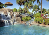 <!-- 250125 --> January 25 to February 1 2025<br>Studio<br>OCEAN VIEW VILLA FIXED UNIT 3520<br>Westin South<br>MAUI<br>